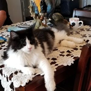 Meet your Posher, Kathleen